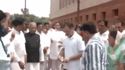 Watch: Rahul Gandhi, Priyanka Gandhi, Dimple Yadav tear SIR placards; protest enters fifth day of monsoon session | India News