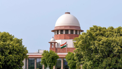 Delhi govt requests SC to review 2018 blanket ban affecting middle class the most | India News